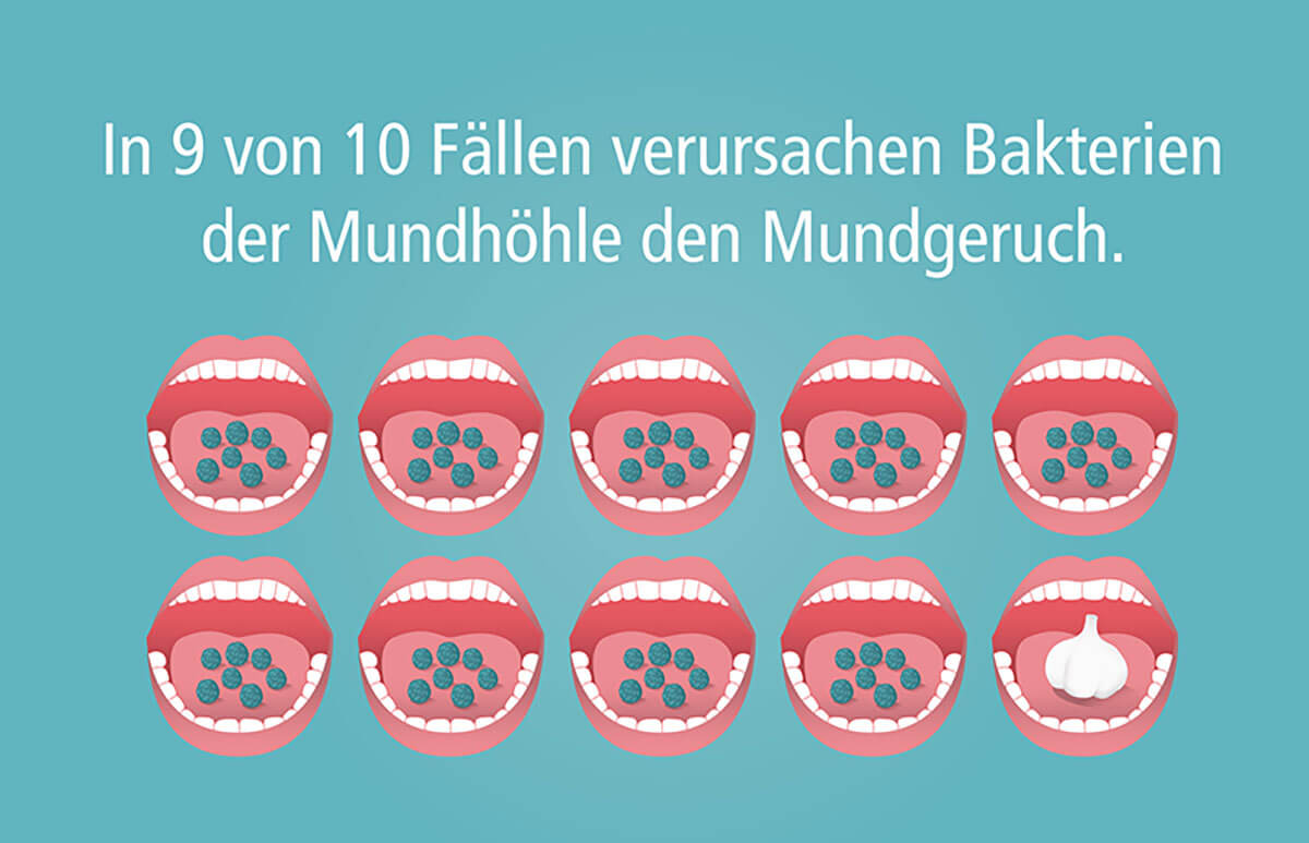 Bakterien als häufigste Ursache von Mundgeruch